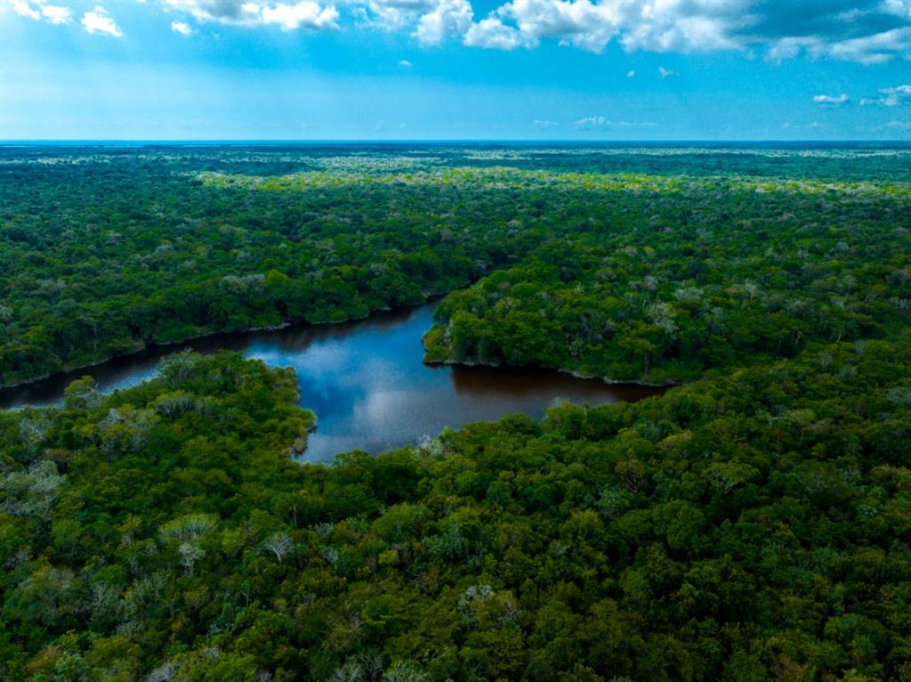 Belize Rural North I - Land
