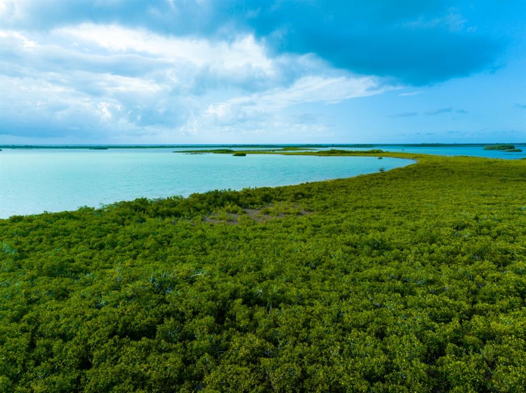 Belize Rural North I - Land