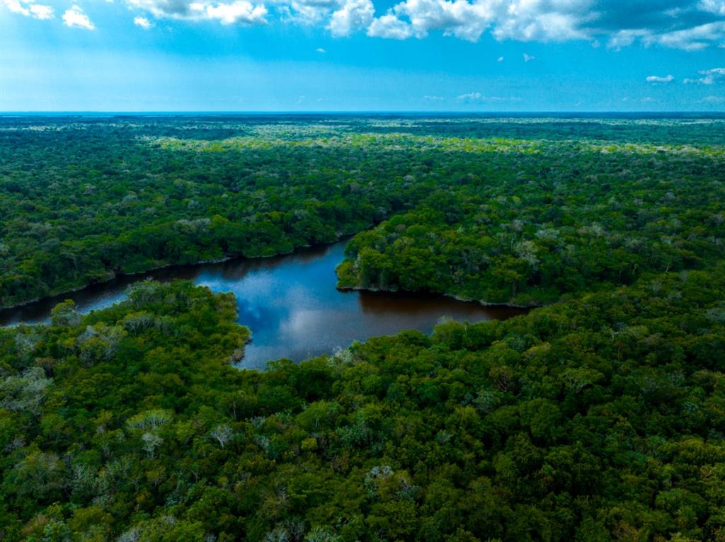 Belize Rural North I - Land
