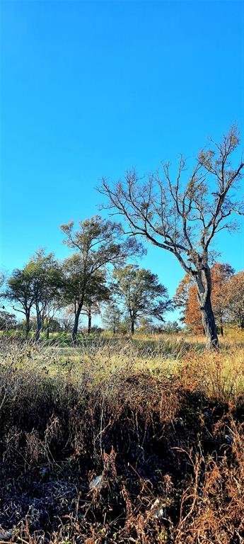 Serenity Point - Land