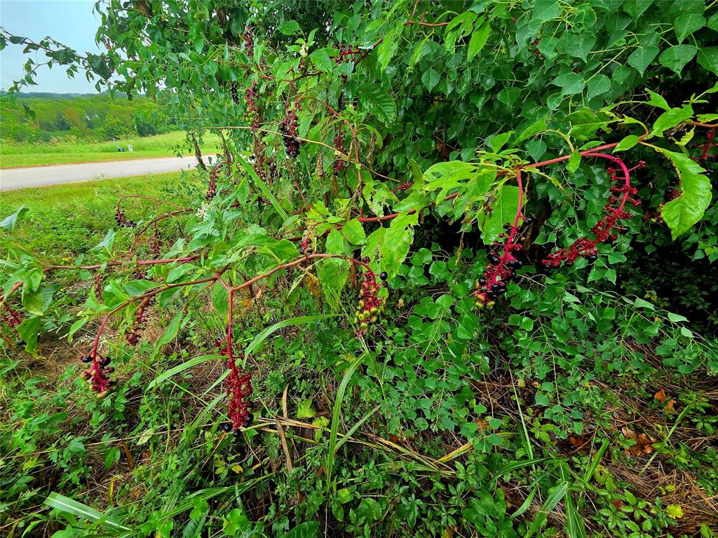 Waters Edge Ranch - Land