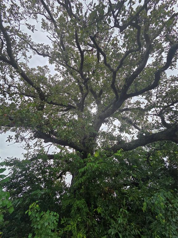 Waters Edge Ranch - Land