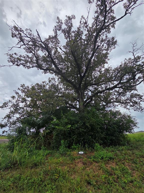 Waters Edge Ranch - Land