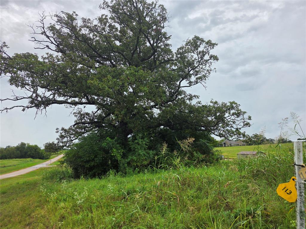 Waters Edge Ranch - Land