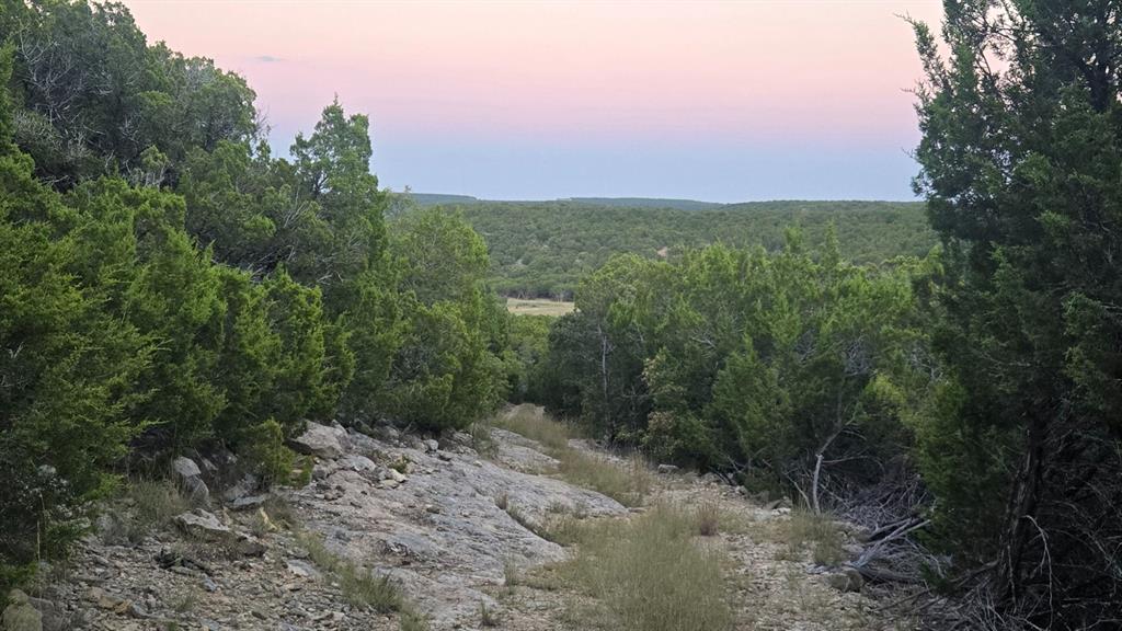 ABSTRACT A0289 SUR 1 S P RY CO - Land