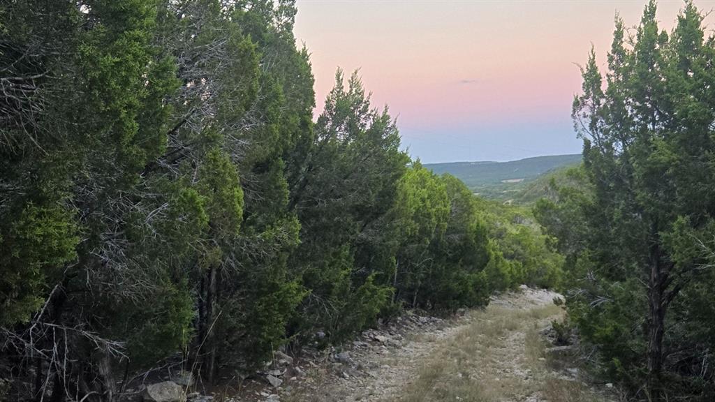 ABSTRACT A0289 SUR 1 S P RY CO - Land