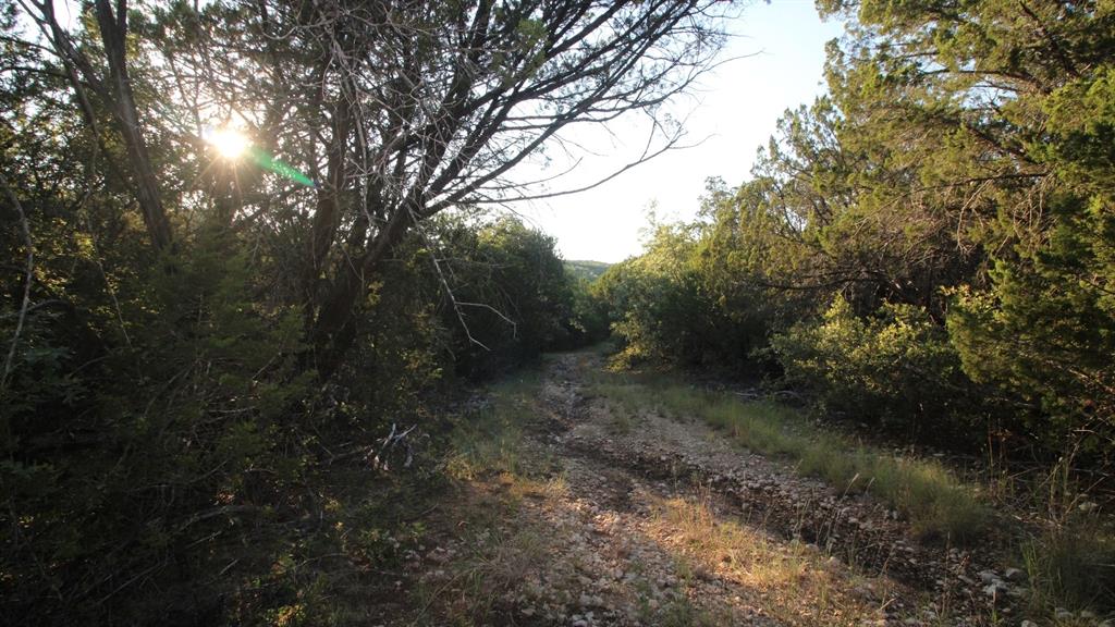 ABSTRACT A0289 SUR 1 S P RY CO - Land