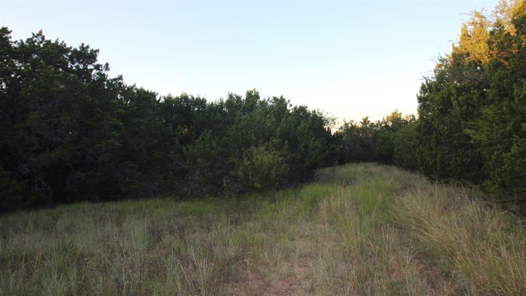 ABSTRACT A0289 SUR 1 S P RY CO - Land