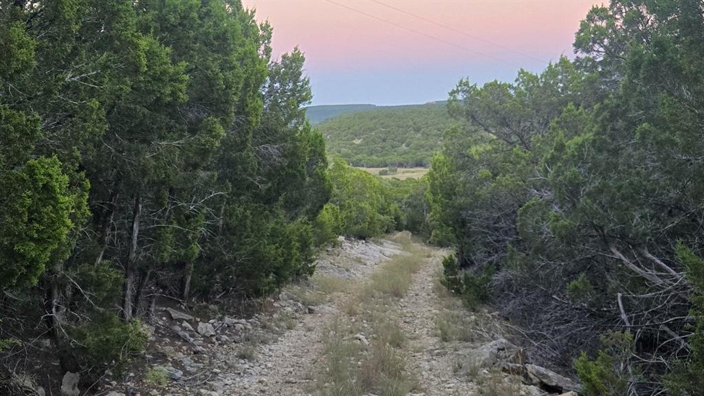 ABSTRACT A0289 SUR 1 S P RY CO - Land