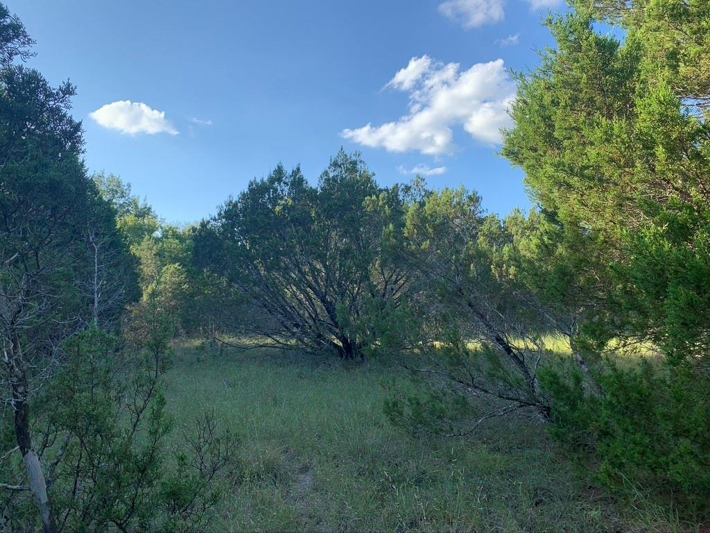 Mountain Lakes - Land