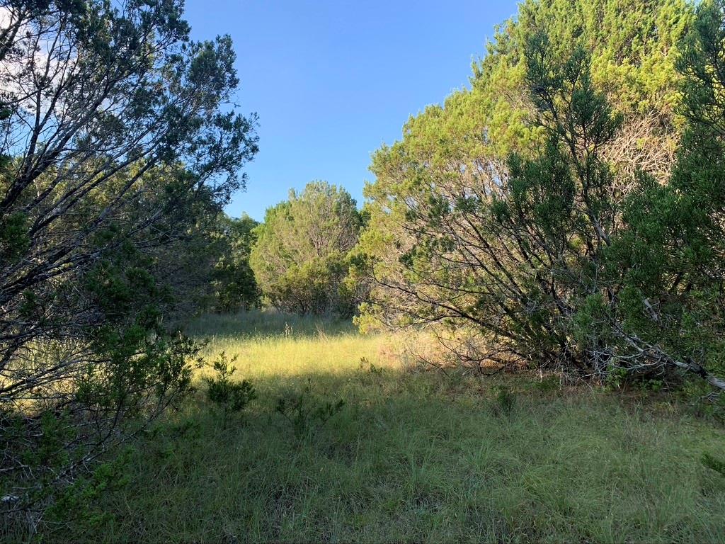 Mountain Lakes - Land