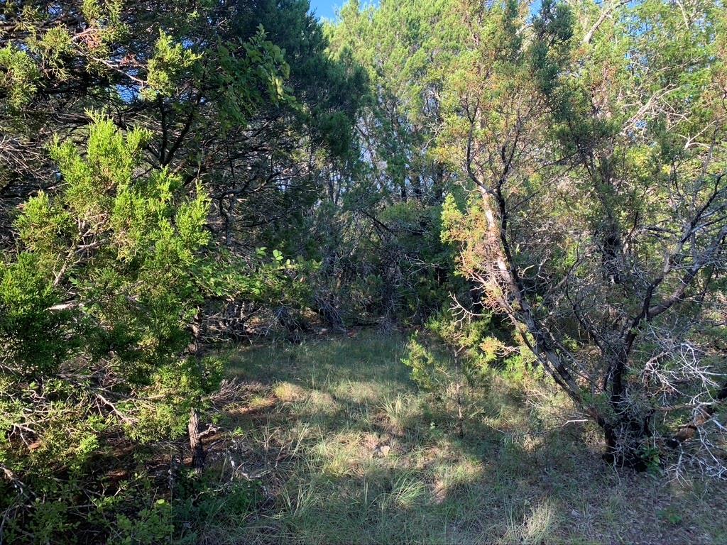 Mountain Lakes - Land