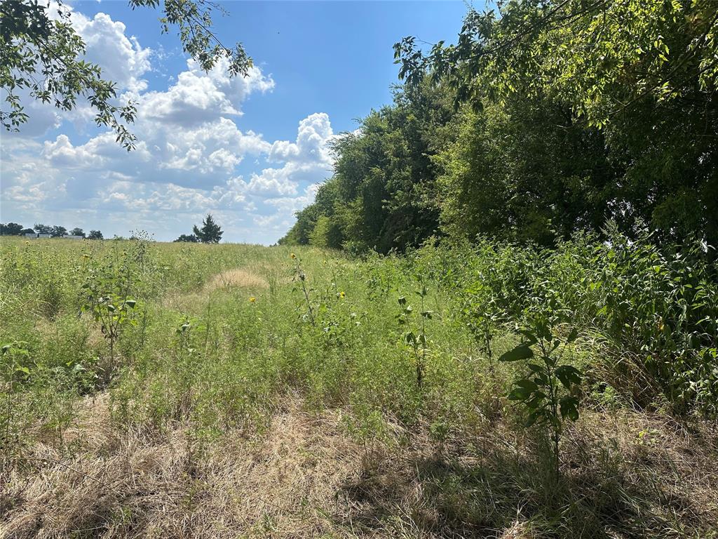 Lot 1 Rutledge Road