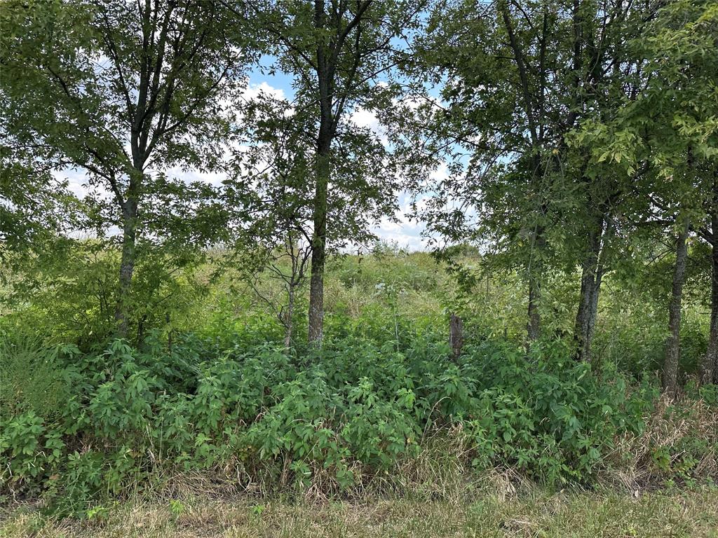 Lot 1 Rutledge Road