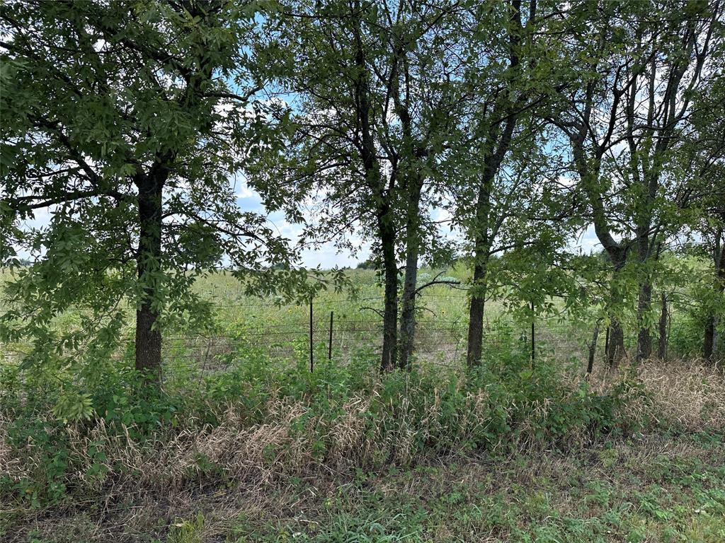 Lot 1 Rutledge Road