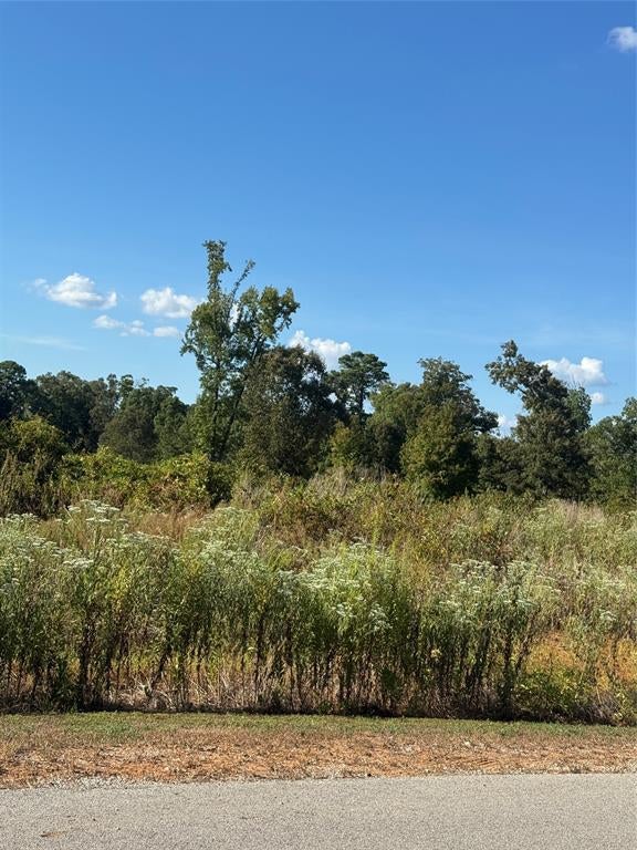 LOT 56 Ridgeline Loop