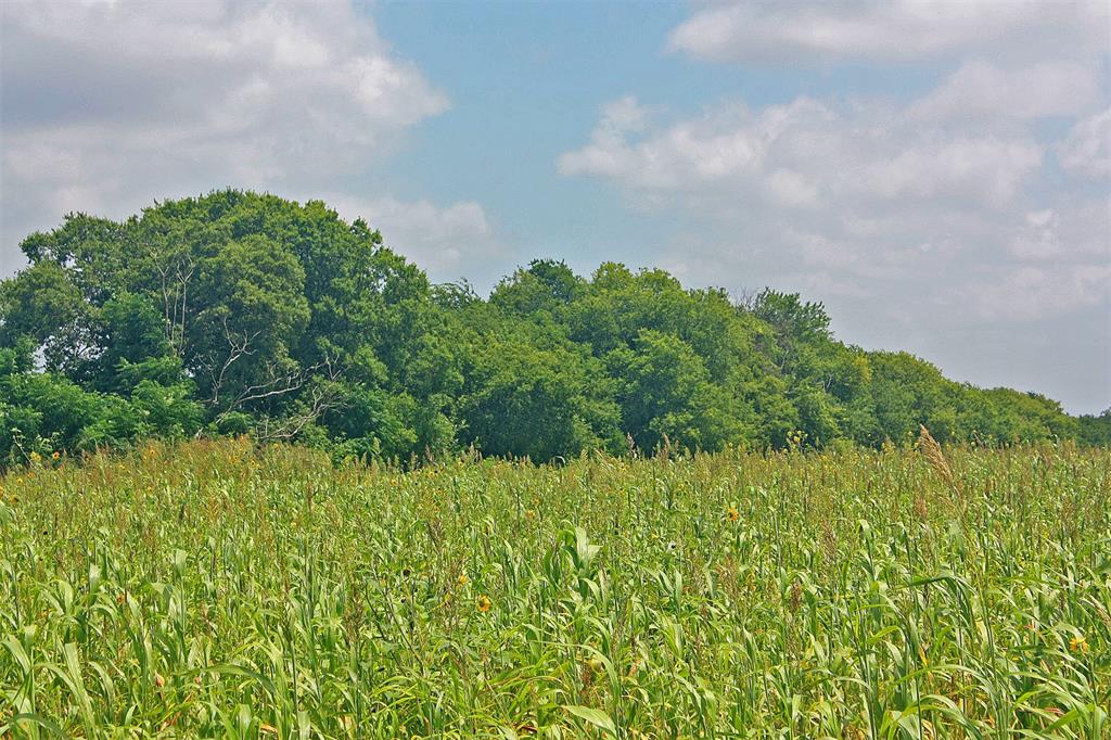 2417 County Road 211