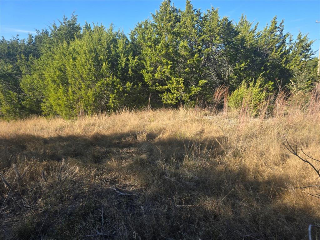 Sunrise Mountain Ranch - Land