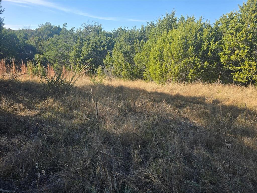 Sunrise Mountain Ranch - Land