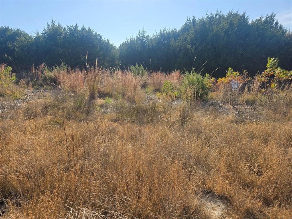 Sunrise Mountain Ranch - Land