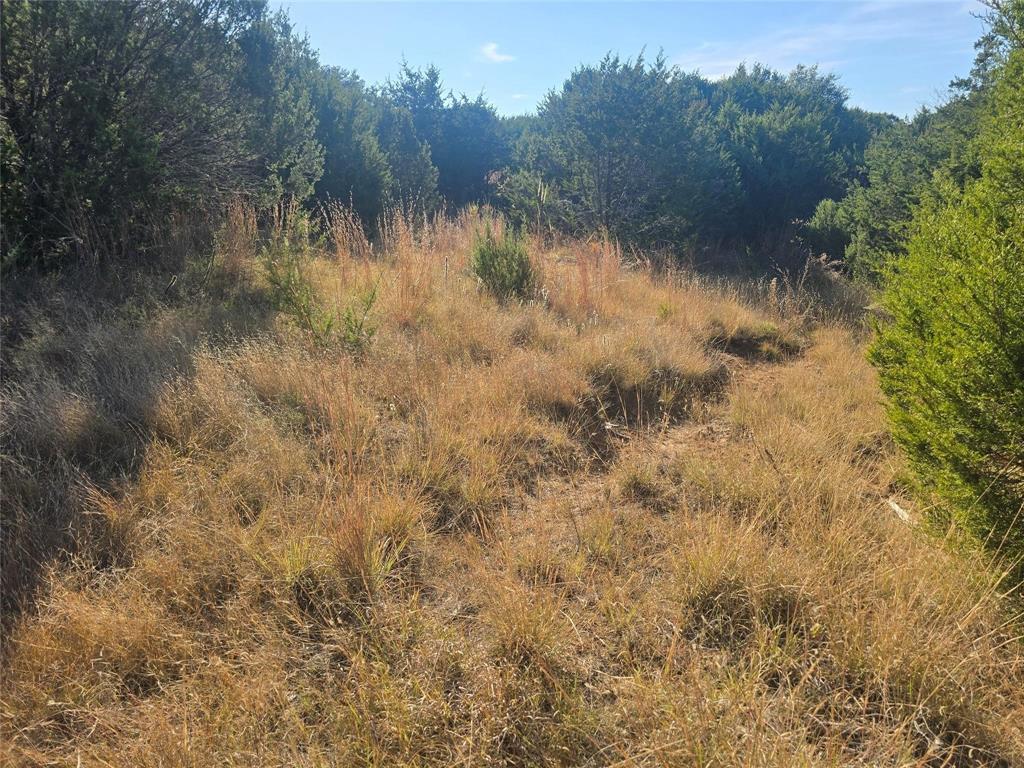 Sunrise Mountain Ranch - Land