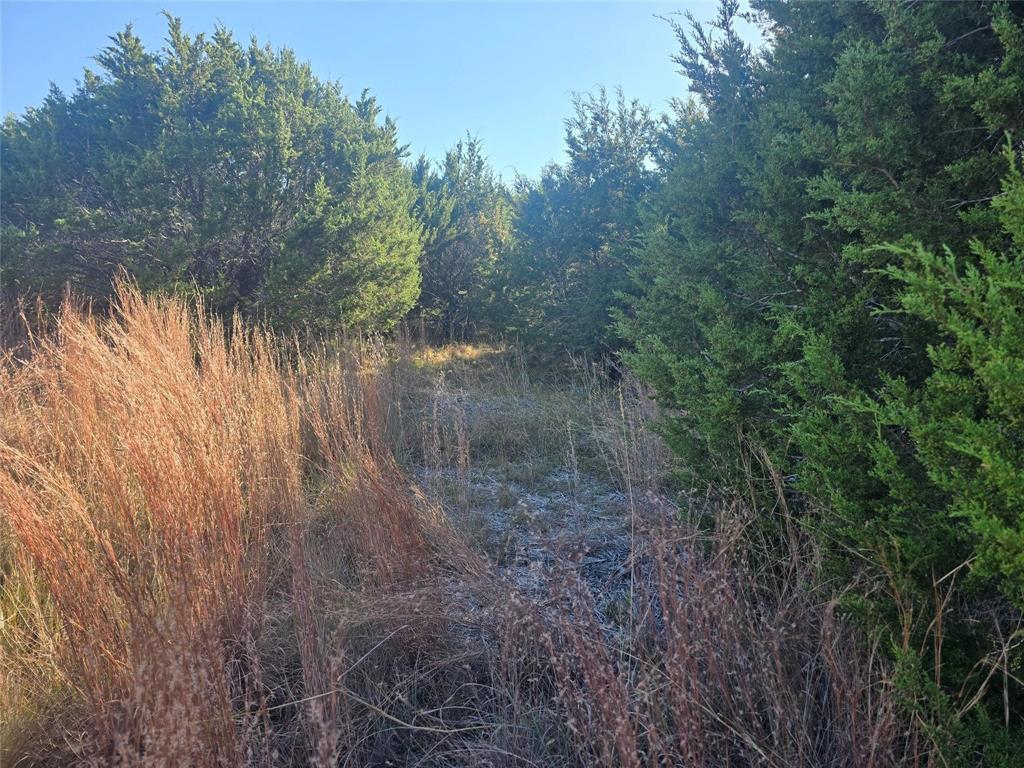 Sunrise Mountain Ranch - Land