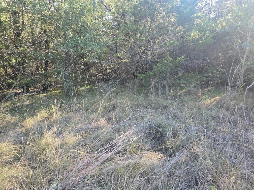 Sunrise Mountain Ranch - Land