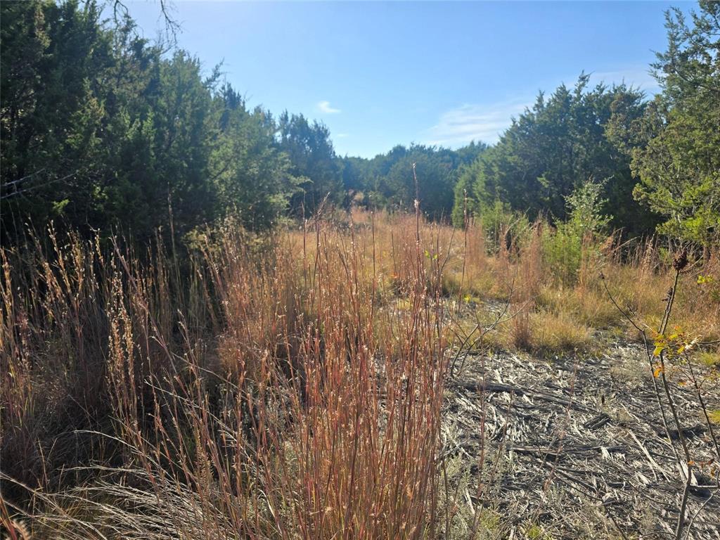 Sunrise Mountain Ranch - Land