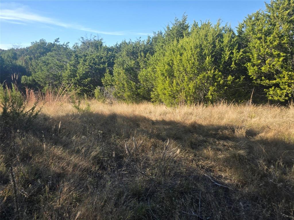 Sunrise Mountain Ranch - Land