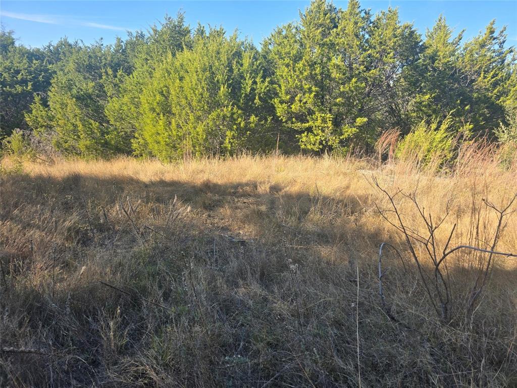 Sunrise Mountain Ranch - Land