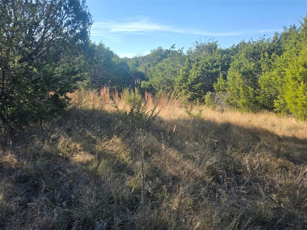 Sunrise Mountain Ranch - Land