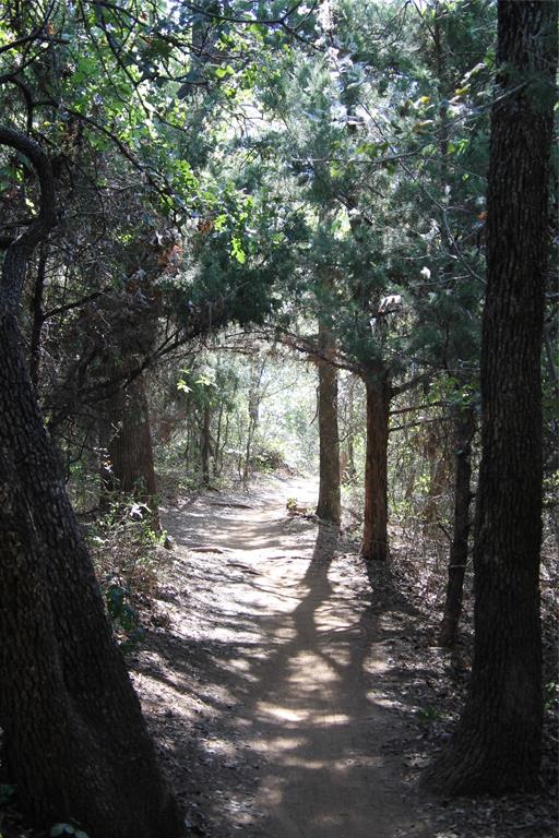 Lakeside Tower - Residential