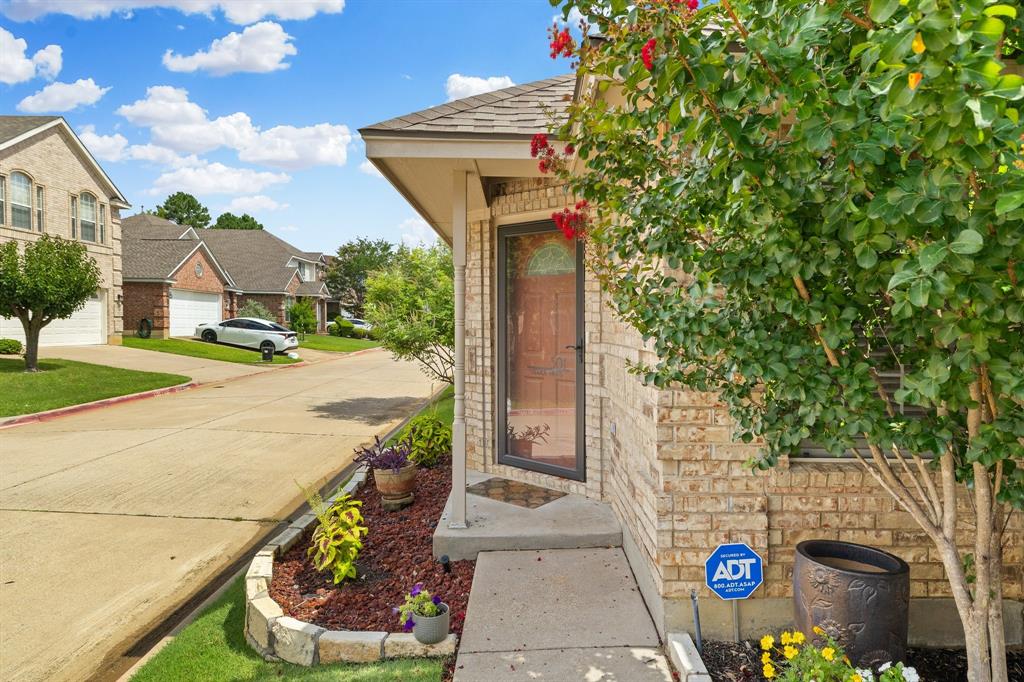 501 Saddle Drive