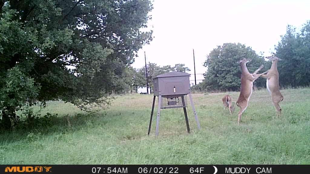 Oak Tree Ranch Estates - Land