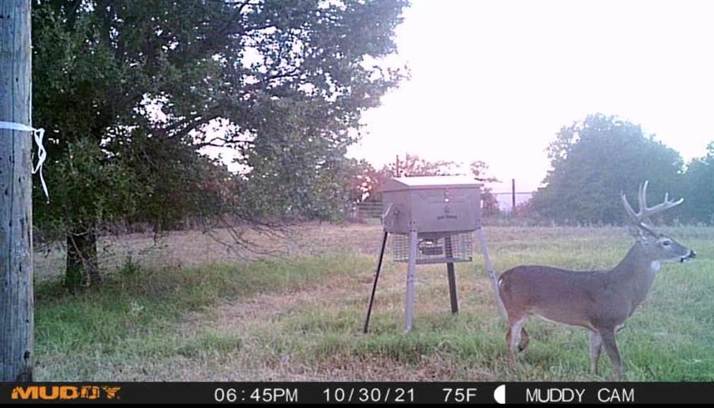 Oak Tree Ranch Estates - Land