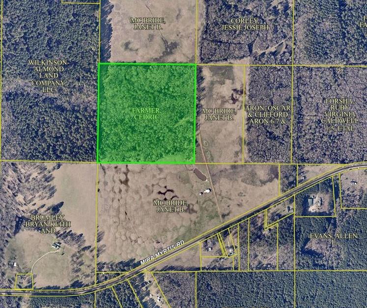 Rodessa, Louisiana 71069, United States, ,Land,Pending,10523