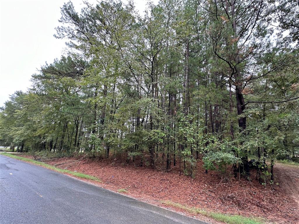 Montgomery Suburban Acres - Land