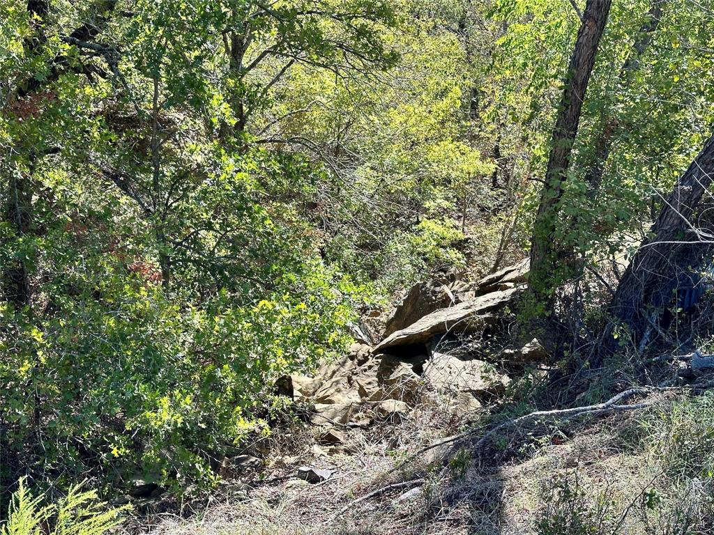 Silver Lakes Ranch - Land