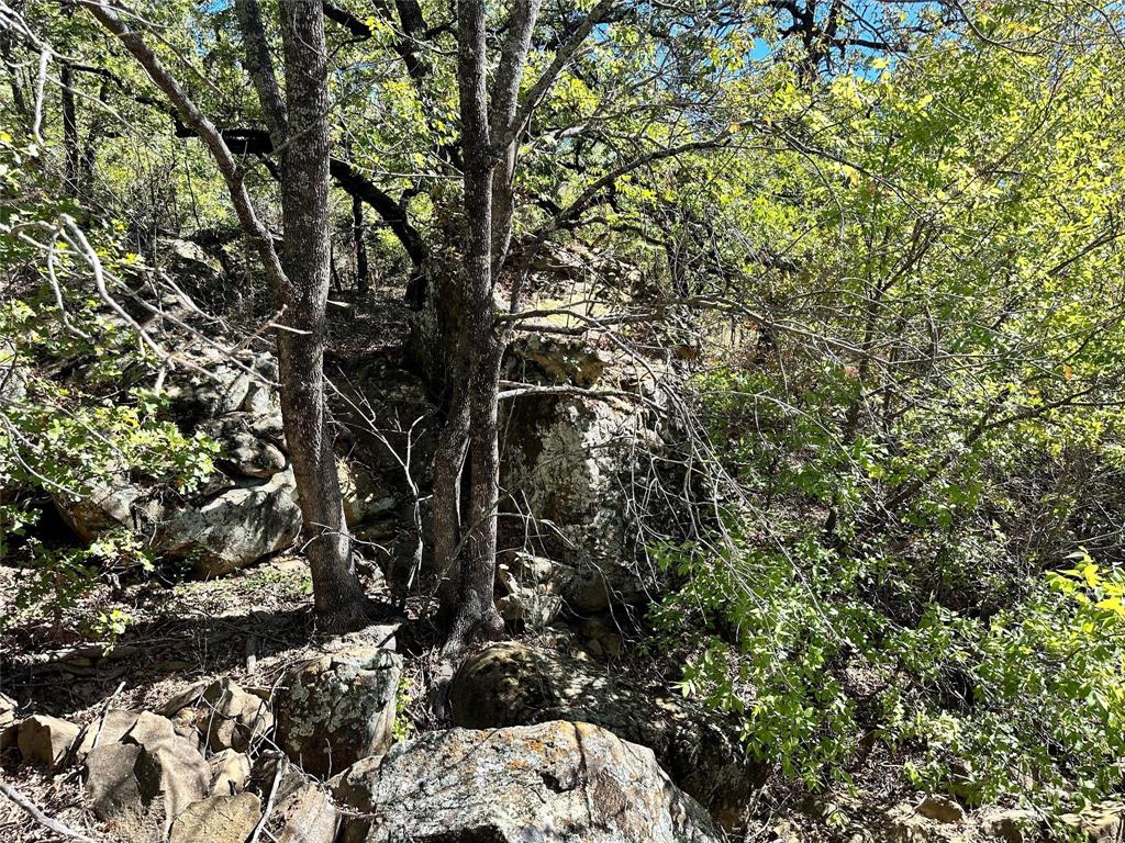 Silver Lakes Ranch - Land