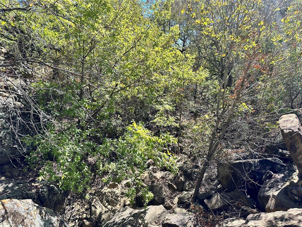 Silver Lakes Ranch - Land