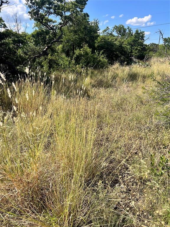 Shamrock Shores Sec B - Land