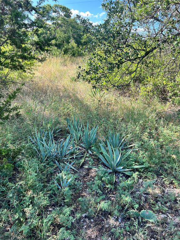 Shamrock Shores Sec B - Land