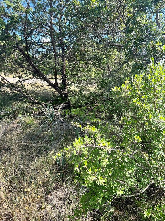 Shamrock Shores Sec B - Land