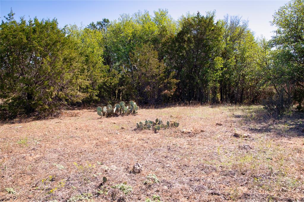 Lot 100 Dollar Pt Court