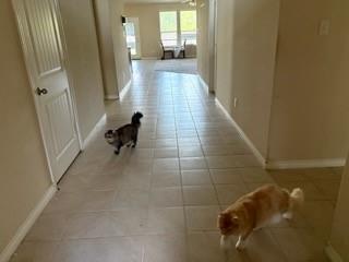 Williams Estates - Residential