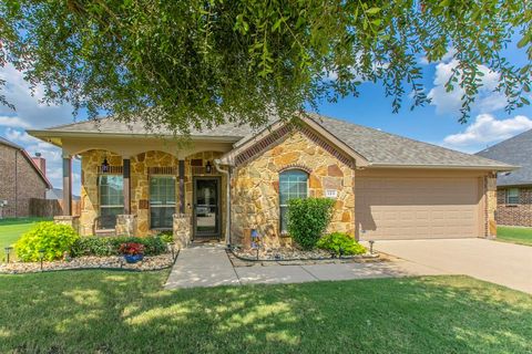 125 Sumac Drive Waxahachie TX 75165