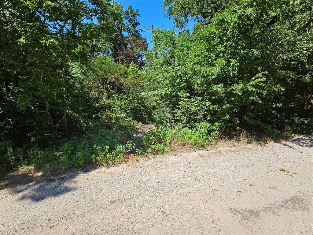 Lot 1 Bird Hill Drive