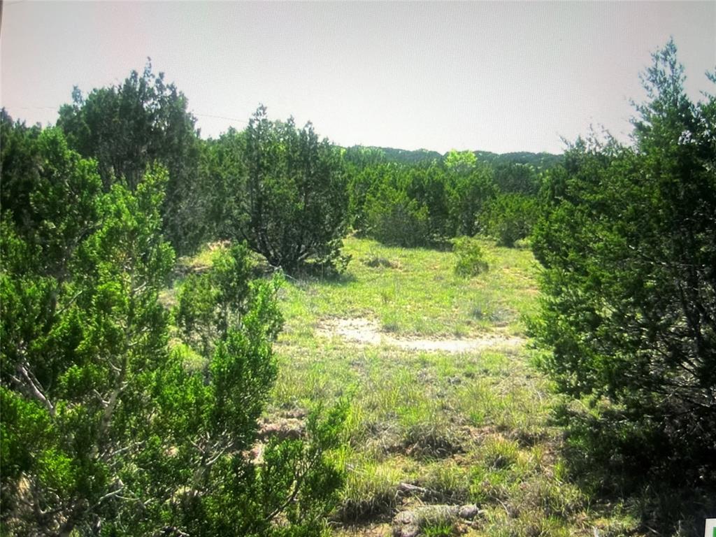 Buffalo Crk Ranch - Land