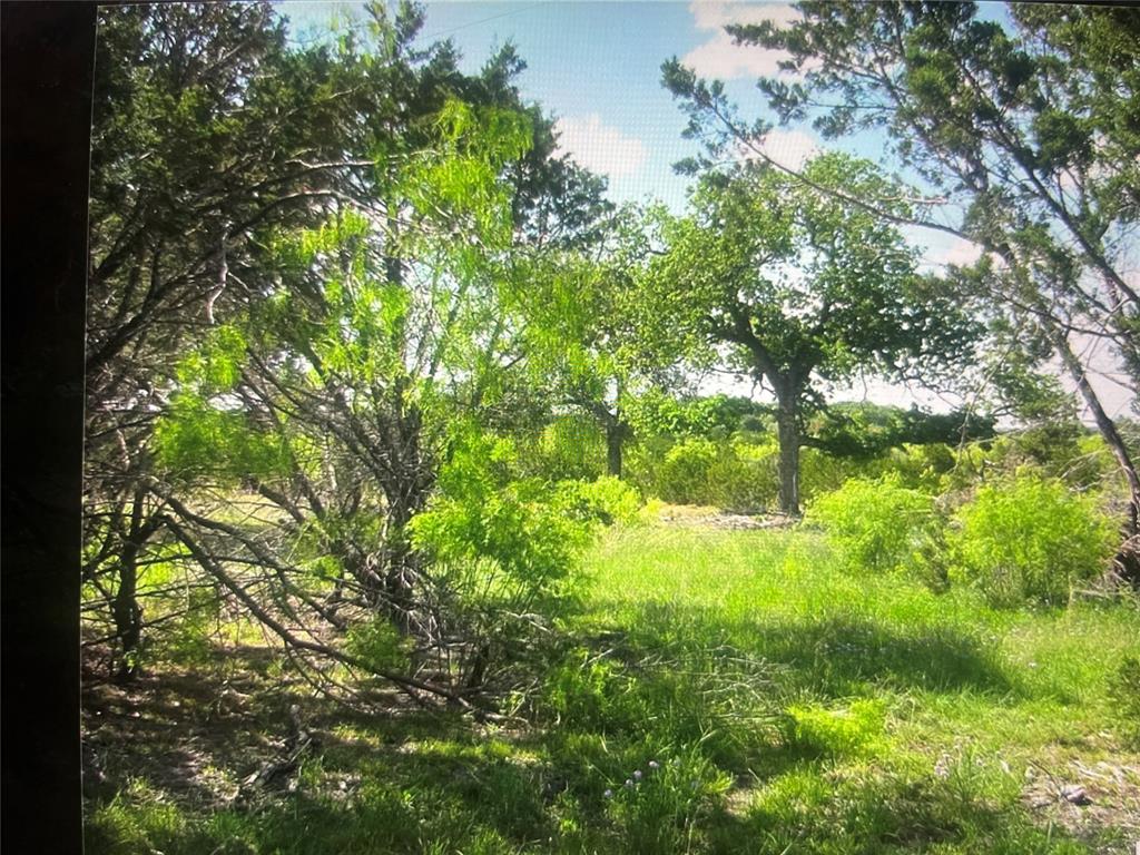 Buffalo Crk Ranch - Land