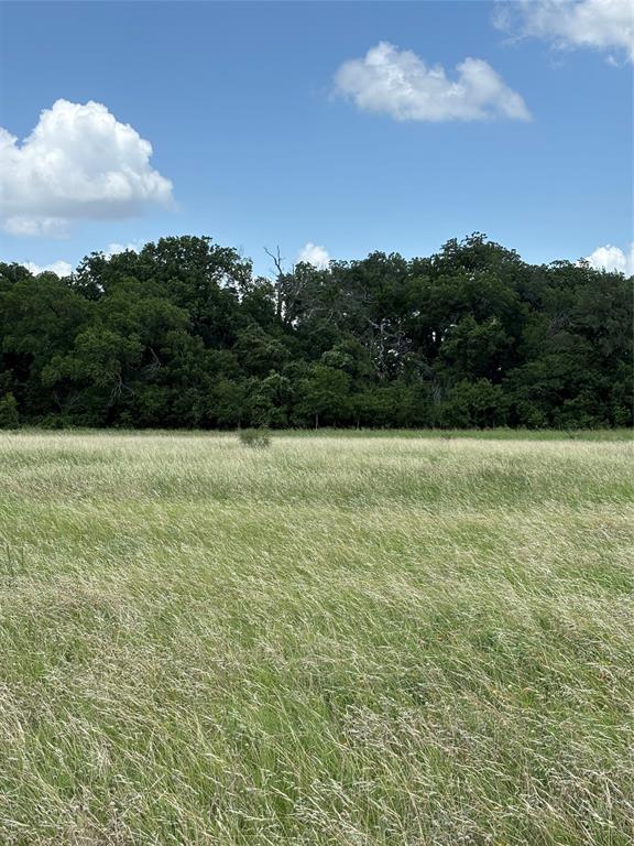 Lot 4 Chisholm Trail